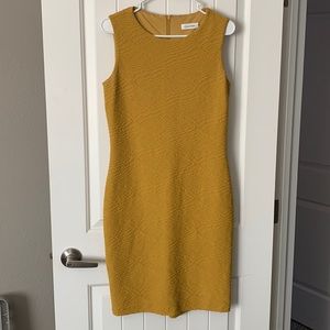 Calvin Klein Dress